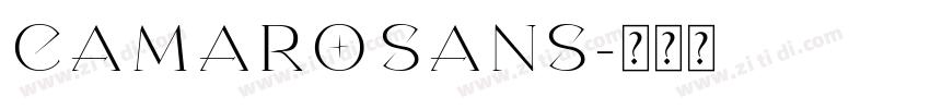 Camaro Sans字体转换